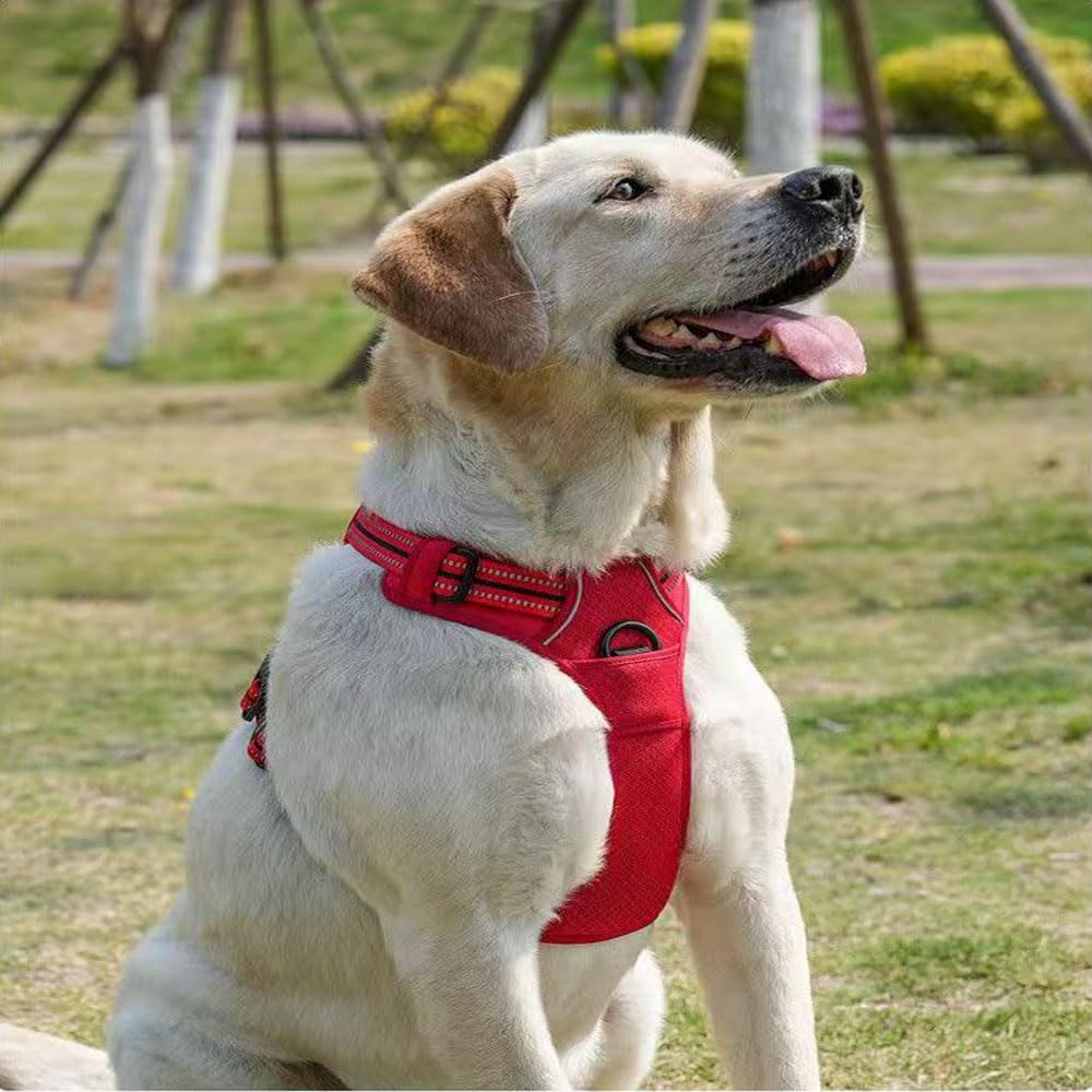 Este arnés antitirones está diseñado específicamente para Beauceron. Cuenta con un asa y un diseño Tipo Chaleco Reflectante Ajustable. Black S