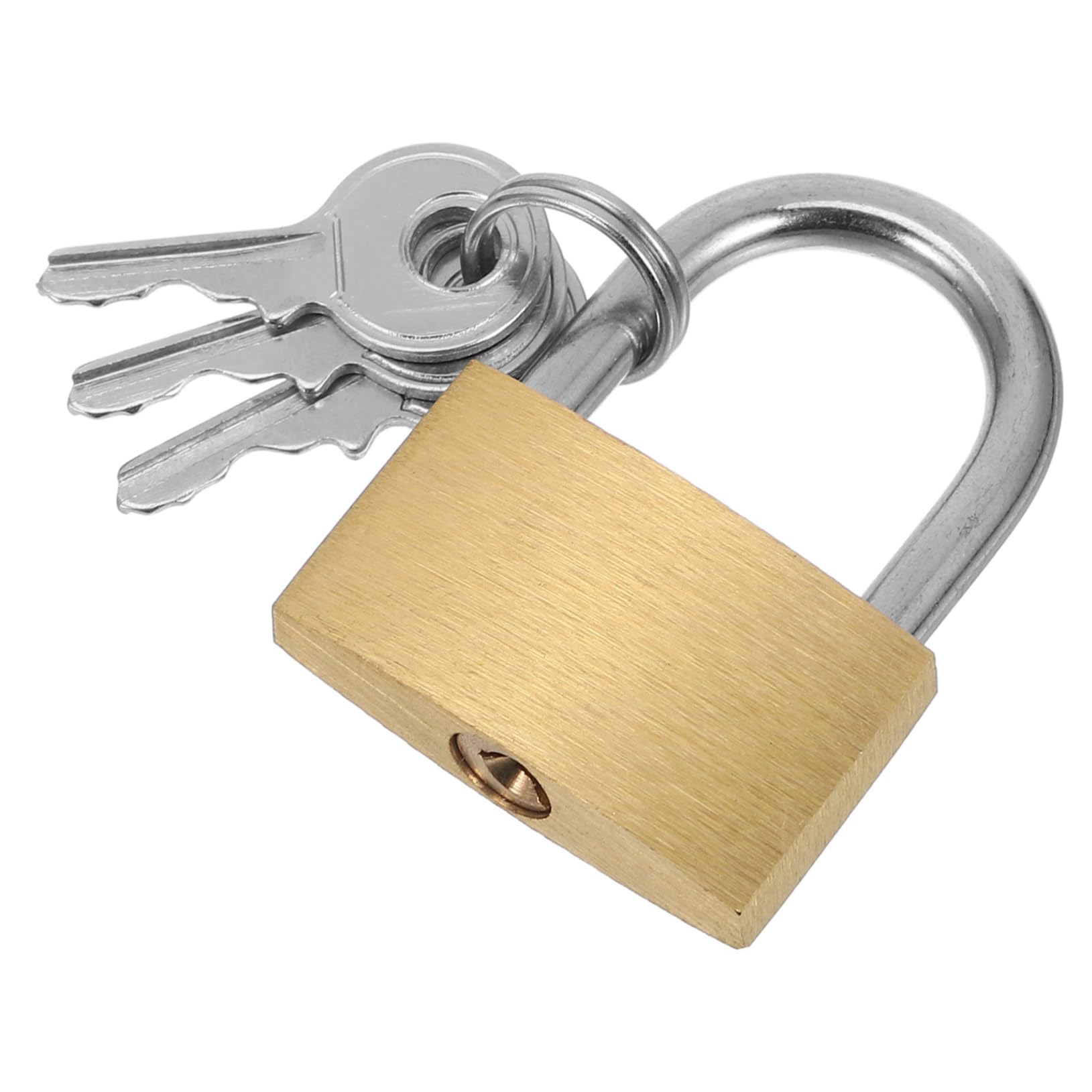 12pezzi Padlock Per Armadietti Stoccaggio e Recinzioni Serrature Chiave Multifunzionale Per Casette