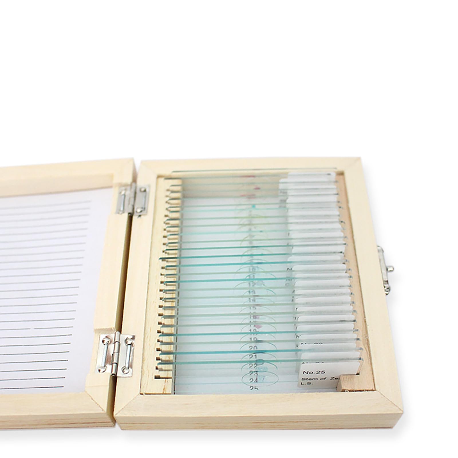 25 portaobjetos con muestras, portaobjetos preparados, portaobjetos preparados para muestras de microscopio, portaobjetos de vidrio preparados para laboratorios de ciencias biológicas, formación