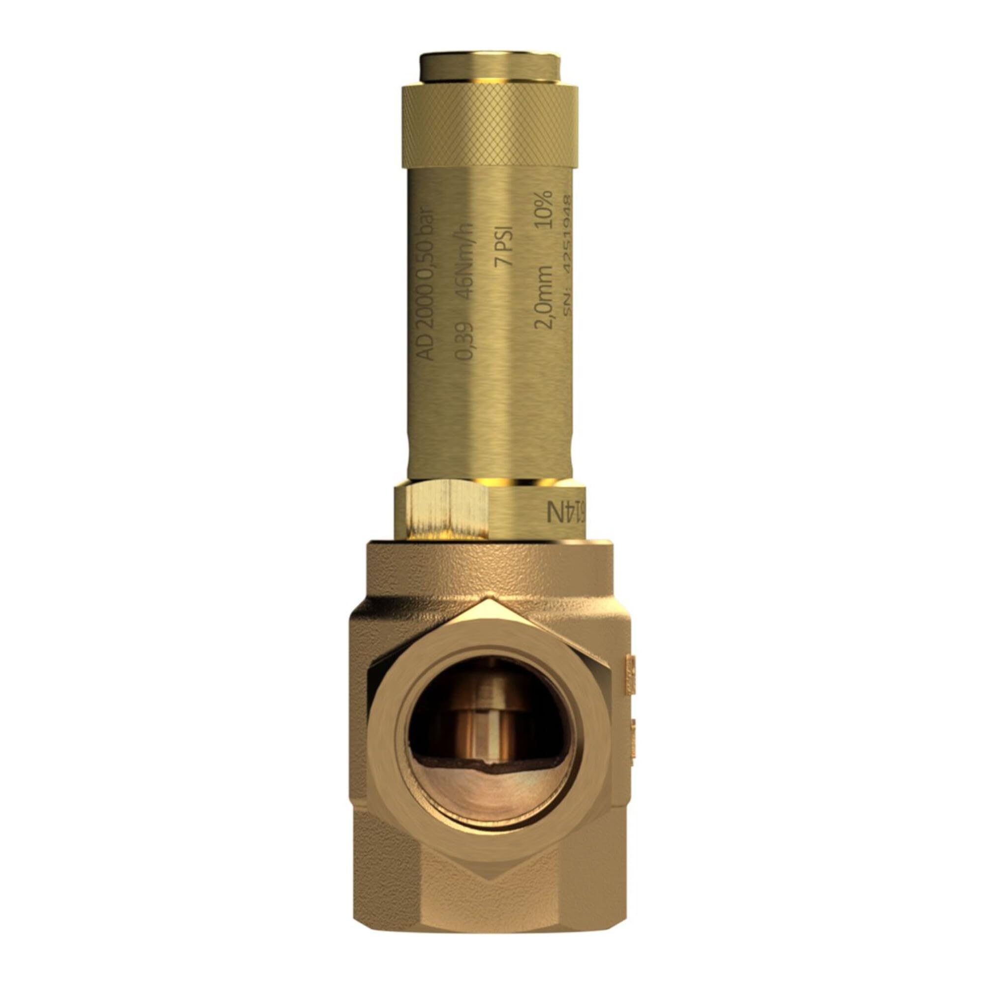 RIEGLER 105508-222.07-0,2 Eck-Sicherheitsventil, Sattdampf, G 1 1/2, Ansprechdruck 0,2 bar, 1Stk