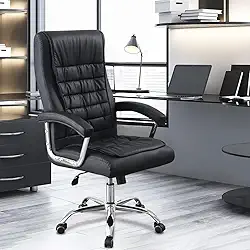 Cadeira De Escritório Presidente Suporte Lombar Ergonômico Com Encosto Alto (Preto)