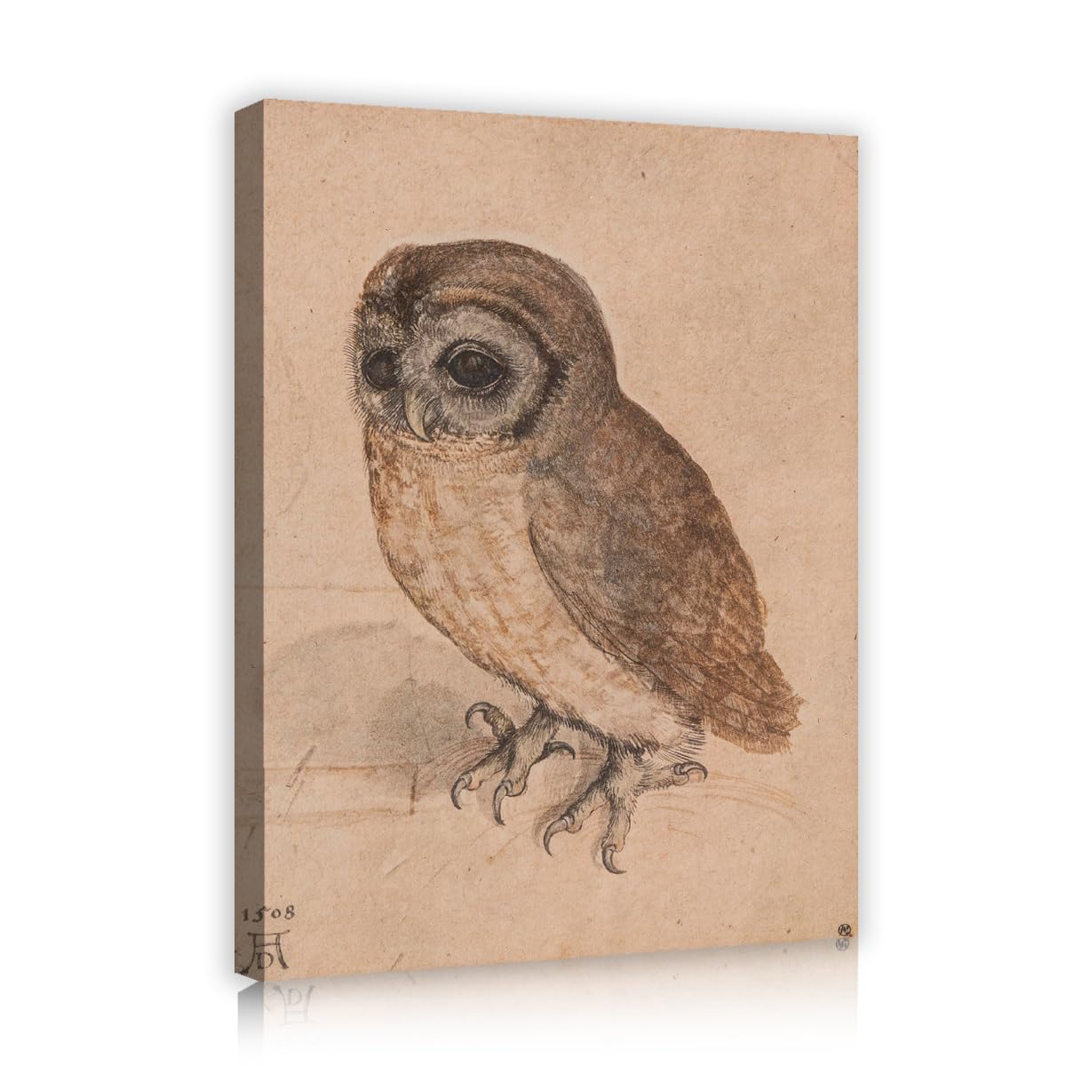 TOANGWALL Antique Brown Owl Canvas Wall Art Living Room Albrecht Durer Little Owl Watercolor Drawing Framed Prints for Bedroom Decor 65x80cm