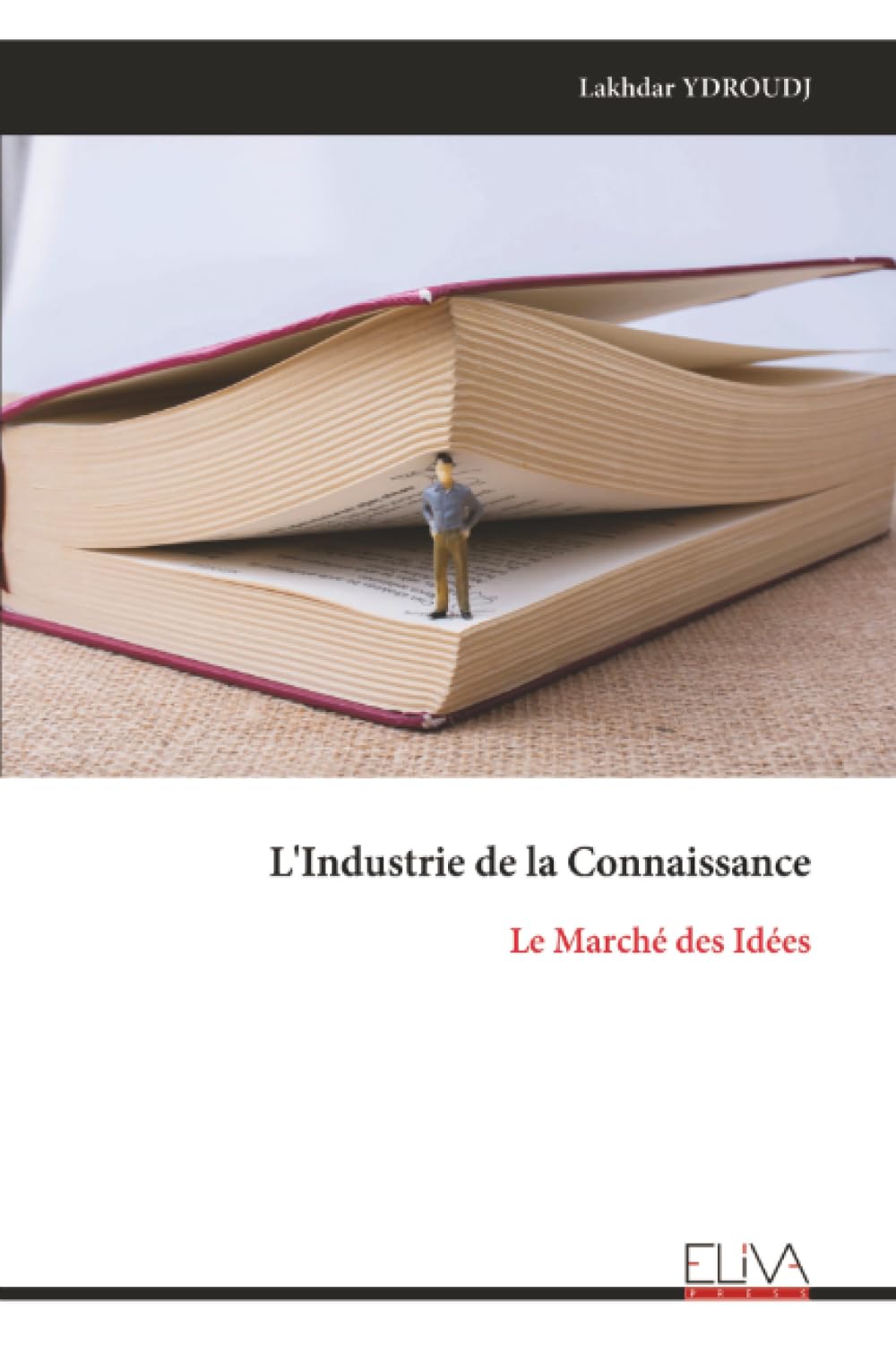 L'Industrie de la Connaissance: Le Marché des Idées