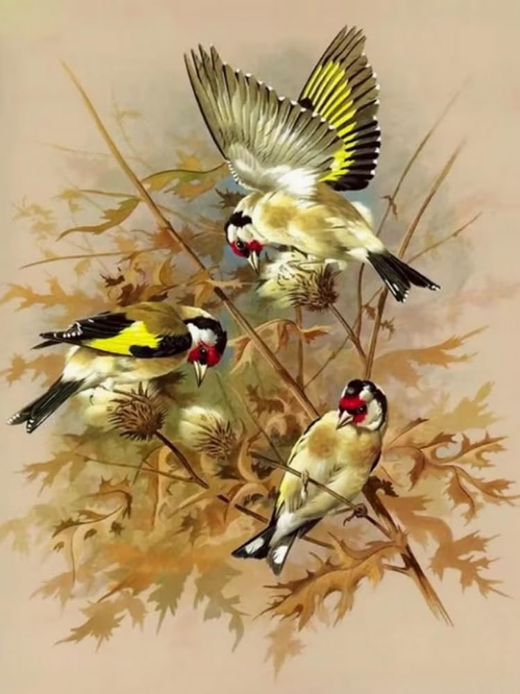 Wihgkin Cross Stitch Kits for Adults 11CT Printed Cross-Stitch Kit Hwamei Bird DIY Beginner Stamped Embroidery Kits Wall Art Home Decoration （16x20 Inch）