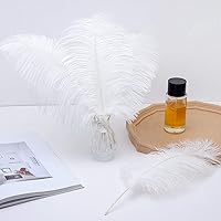 Vista 123 de 24 piezas de plumas de avestruz blanco natural de 10-12 pulgadas (25-30cm) para centros de mesa de bodas y fiestas, arreglos florales y decoración