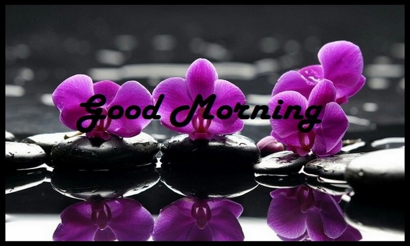 Good Morning Wishes - App on Amazon Appstore