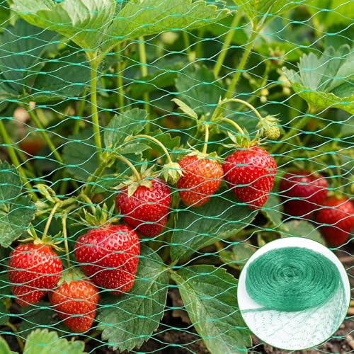 Filet Anti Oiseaux Vert, 4 x 6 M Filets Anti-Oiseaux, Filet de Protection pour Plantes, Filets Anti Oiseaux pour Bassins, Potagers, Fleurs, Arbustes, Arbres...