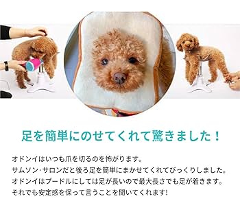 Amazon | サムソンサロン Samson Salon 犬 猫 ドッグフード