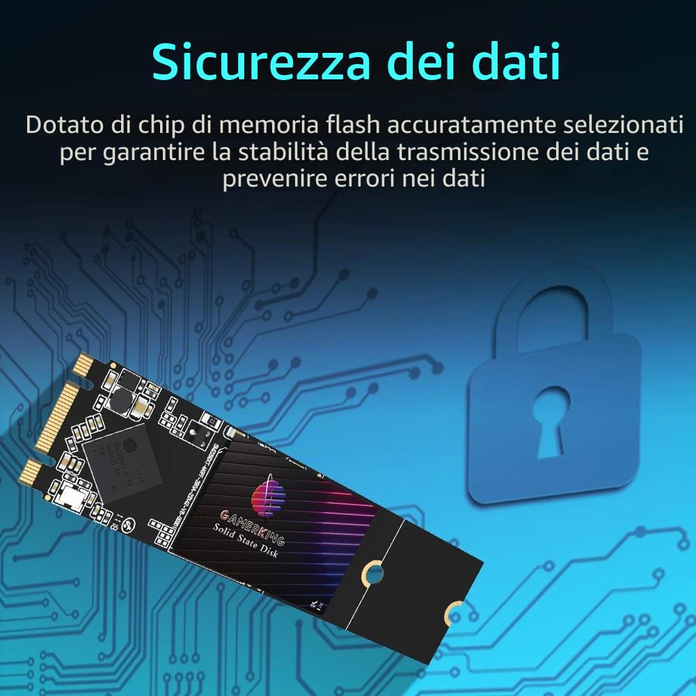 GamerKing SSD M.2 2280 64GB Ngff unità a stato solido interna