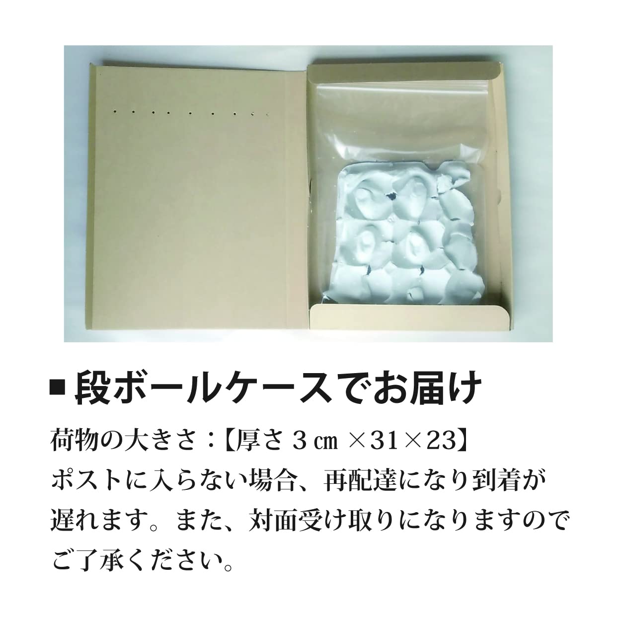 Amazon | デュビアM100匹(2～2.5cm)/ss・S・M選択可/郵便受けへ
