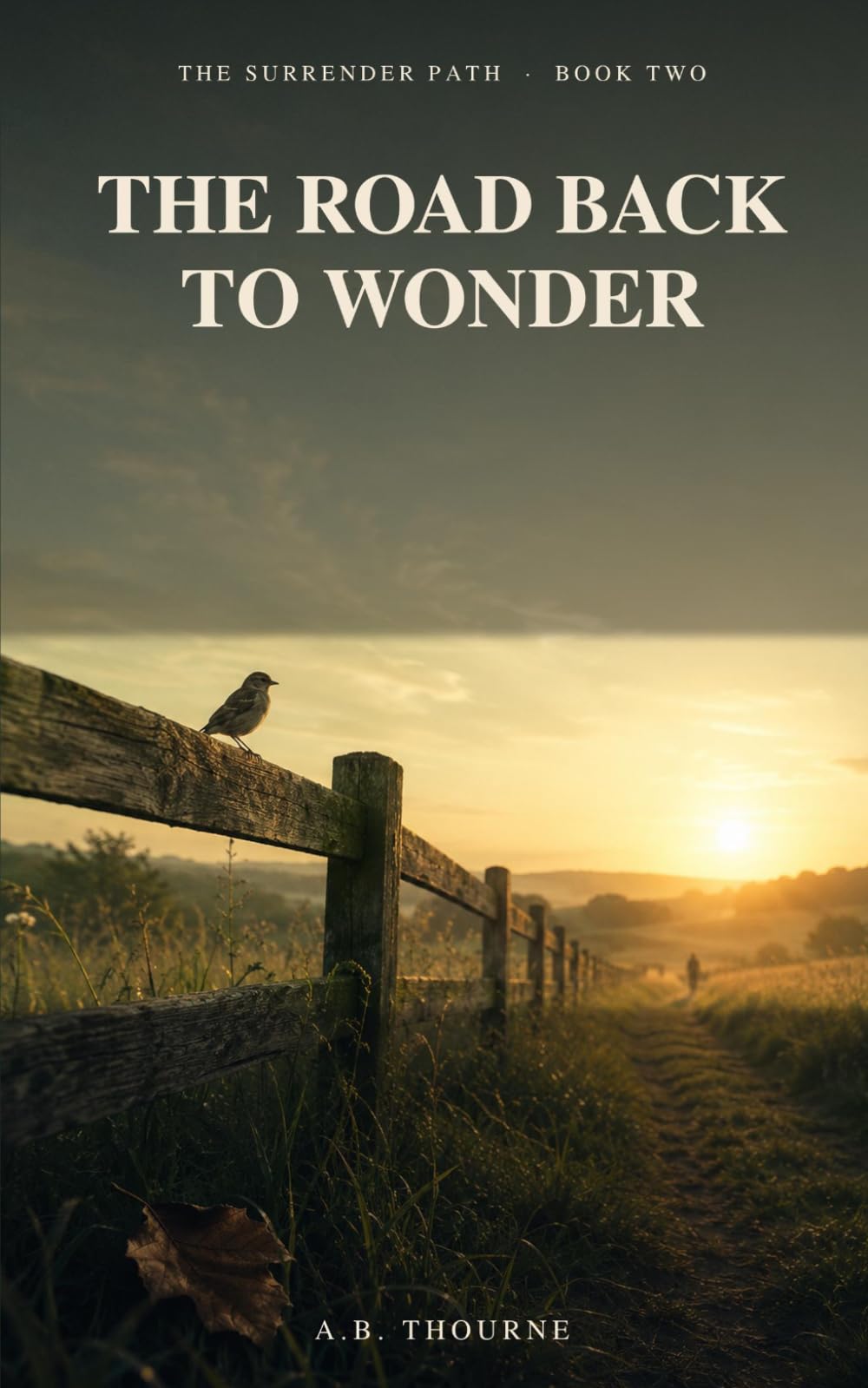 THE ROAD BACK TO WONDER: A Journey Into Unexpected Grace (The Surrender Path)