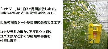 Amazon | 捕虫器 業務用 コナジラミ 活性式 コナジラミキャッチャー