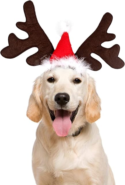 PEDOMUS Christmas Dog Cat Headwear Christmas Pet Reindeer Antlers Headband Deer Xmas Hat Party Costume for Dog Puppy Kitten