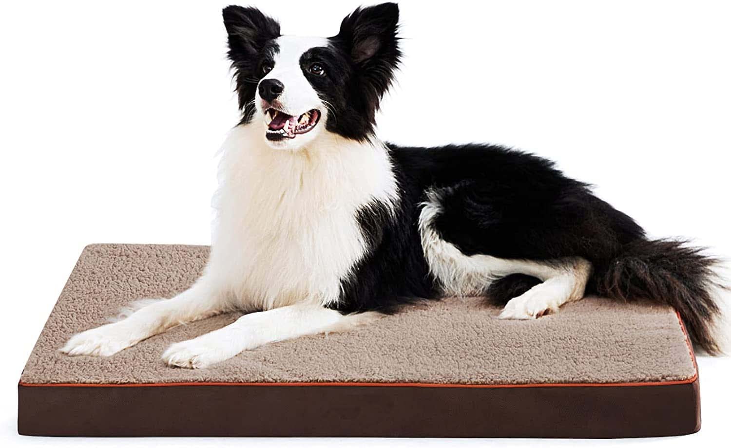 See full amazon price history chart for Fluffys Foam Dog Bed for Small, Medium, Large and Extra Large Dogs/Cats -Crate Foam with Washable Bed - (Medium, Brown) Fluffys Foam Dog Bed for Small, Medium, Large and Extra Large Dogs/Cats -Crate Foam with Washable Bed - (Medium, Brown) (B09X63J9C9) Amazon Price History, Amazon Price Tracker