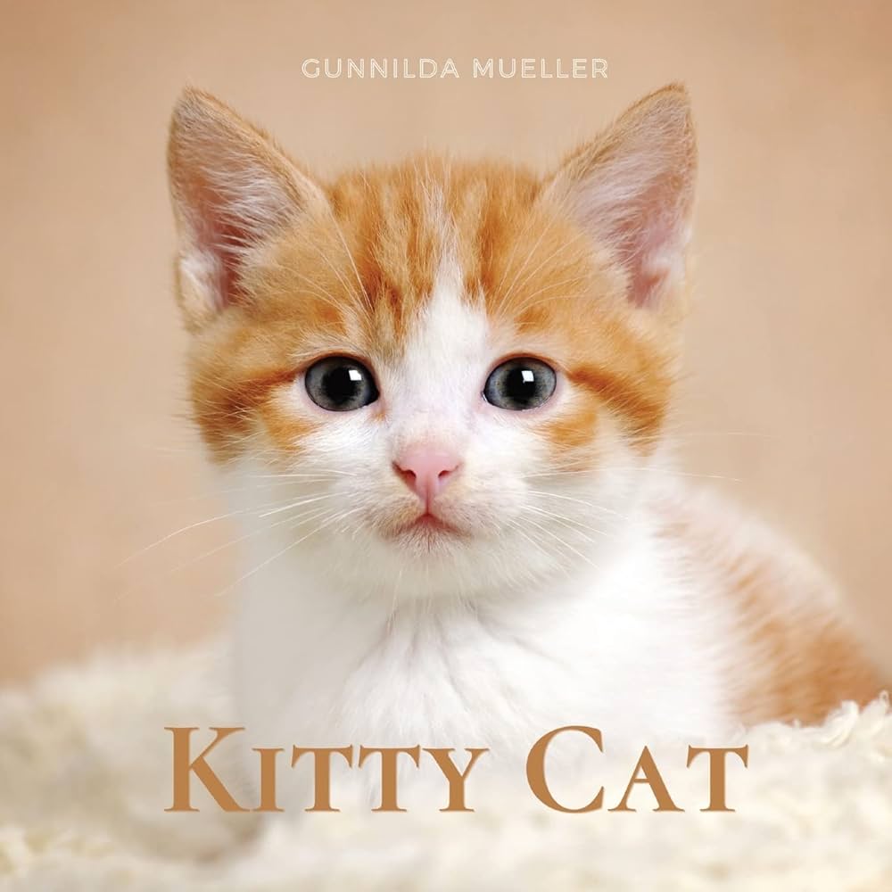 洋書 Luxury for Cats teNeues 洋書 Luxury for Cats teNeues Luxury for Cats (English and