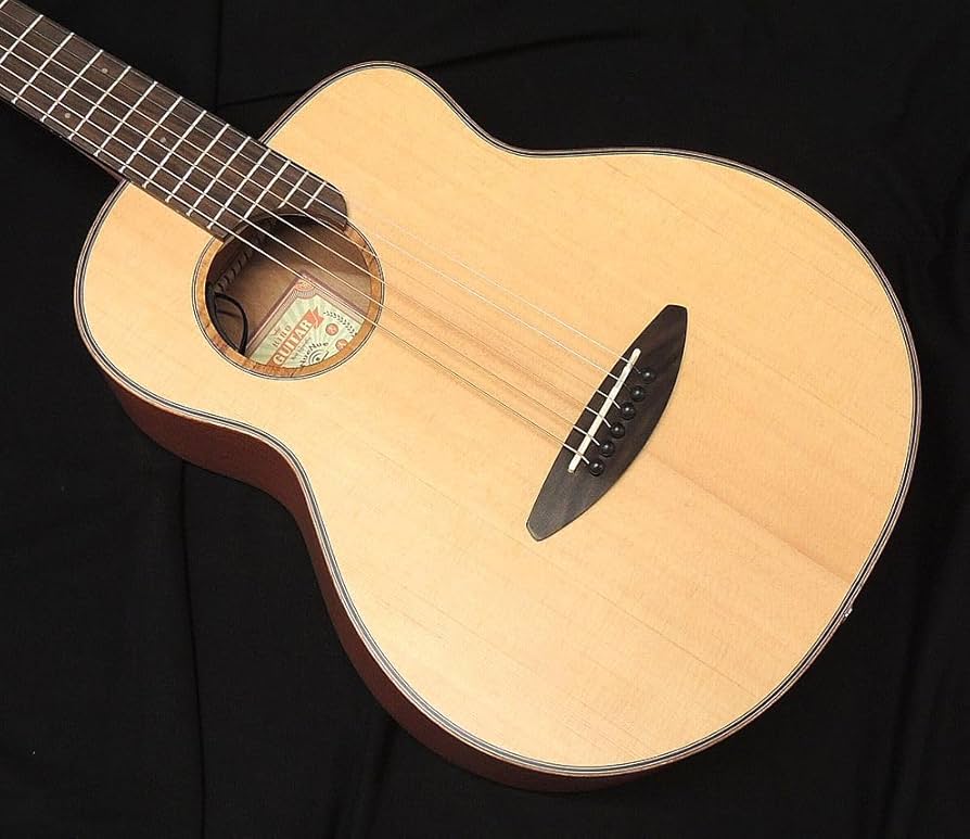aNueNue Bird Guitar aNN-M10E エレアコ Amazon | aNueNue Bird Guitar aNN-M10E Solid Sitka Spruce Top