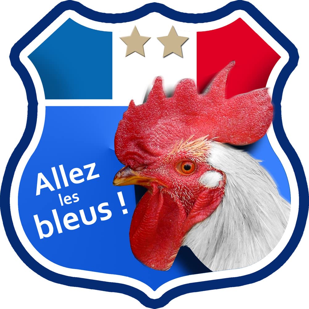 Allez les bleus deux étoiles ! - 15x15cm - Autocollant/Sticker