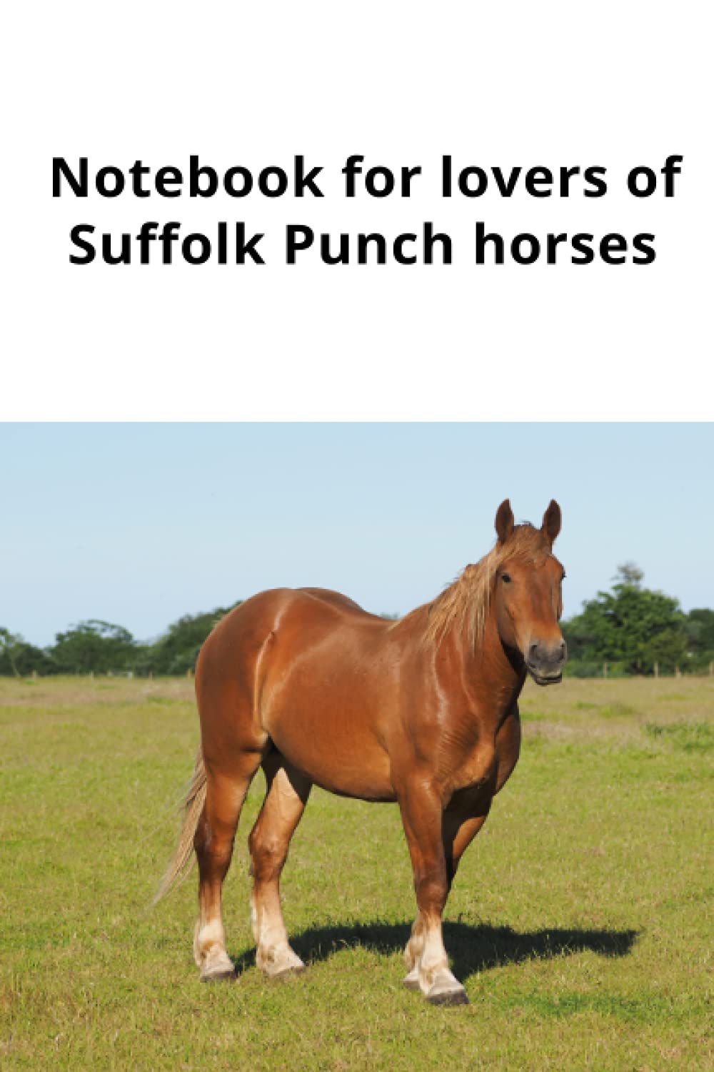 Notebook for lovers of Suffolk Punch horses: Do you love the big boys...what about the Suffolk Punch, definitely a big horse. (Notebook for horse lovers.)