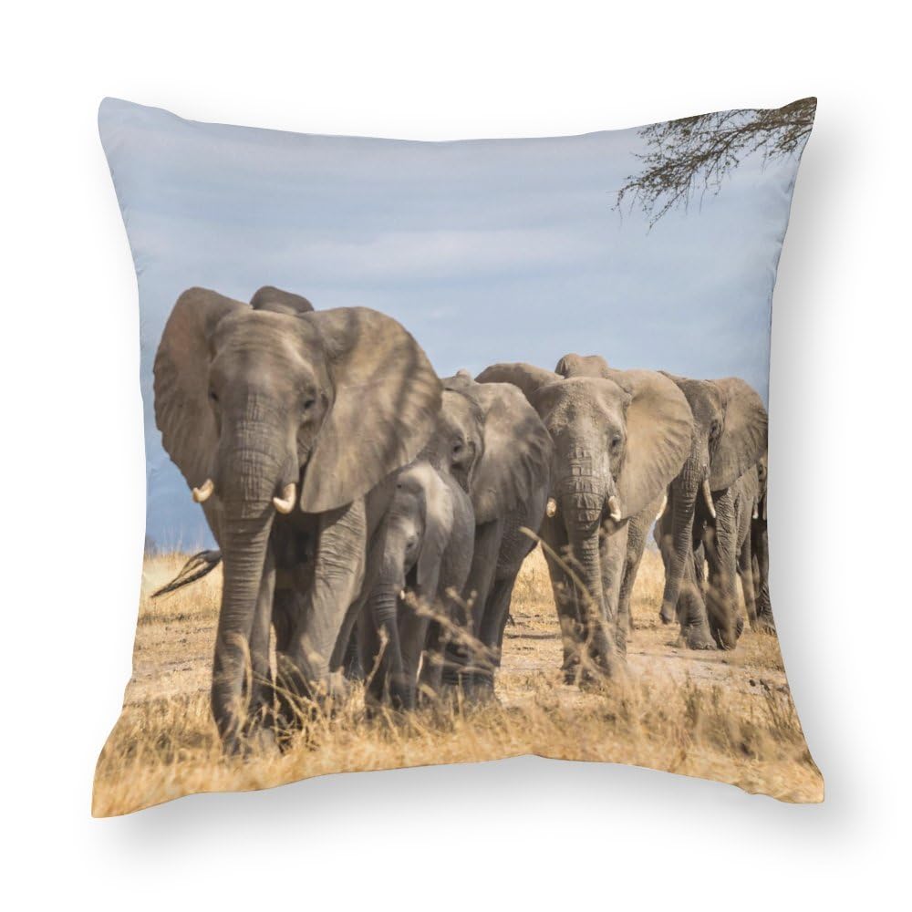 Cushion Covers 1 PCs Wild Animals Herd Elephants Decorative Pillow Covers 12x12inches (30x30cm) Soft Polyester Square Pillow Cases Pillowcases