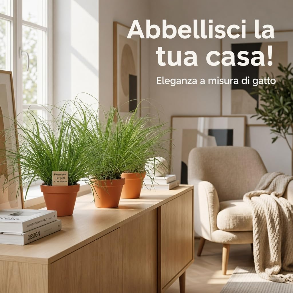Pflanze Plus | Erba gatta (Cyperus zumula) | Lotto da 5 piante con vaso in zinco | Pianta da interno facile da curare