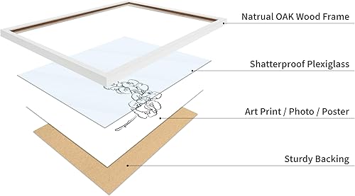 Miniatura 332 de Poster Master Póster de peonías – Estampado de flores retro – Ilustración floral – Ilustración en blanco y negro – Diseño de línea y abstracto –