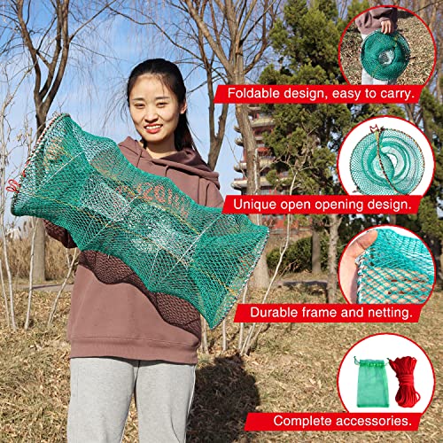 BasicGear Collapsible Crab & Shrimp Trap, 11.8 x 23.6 in - image 4