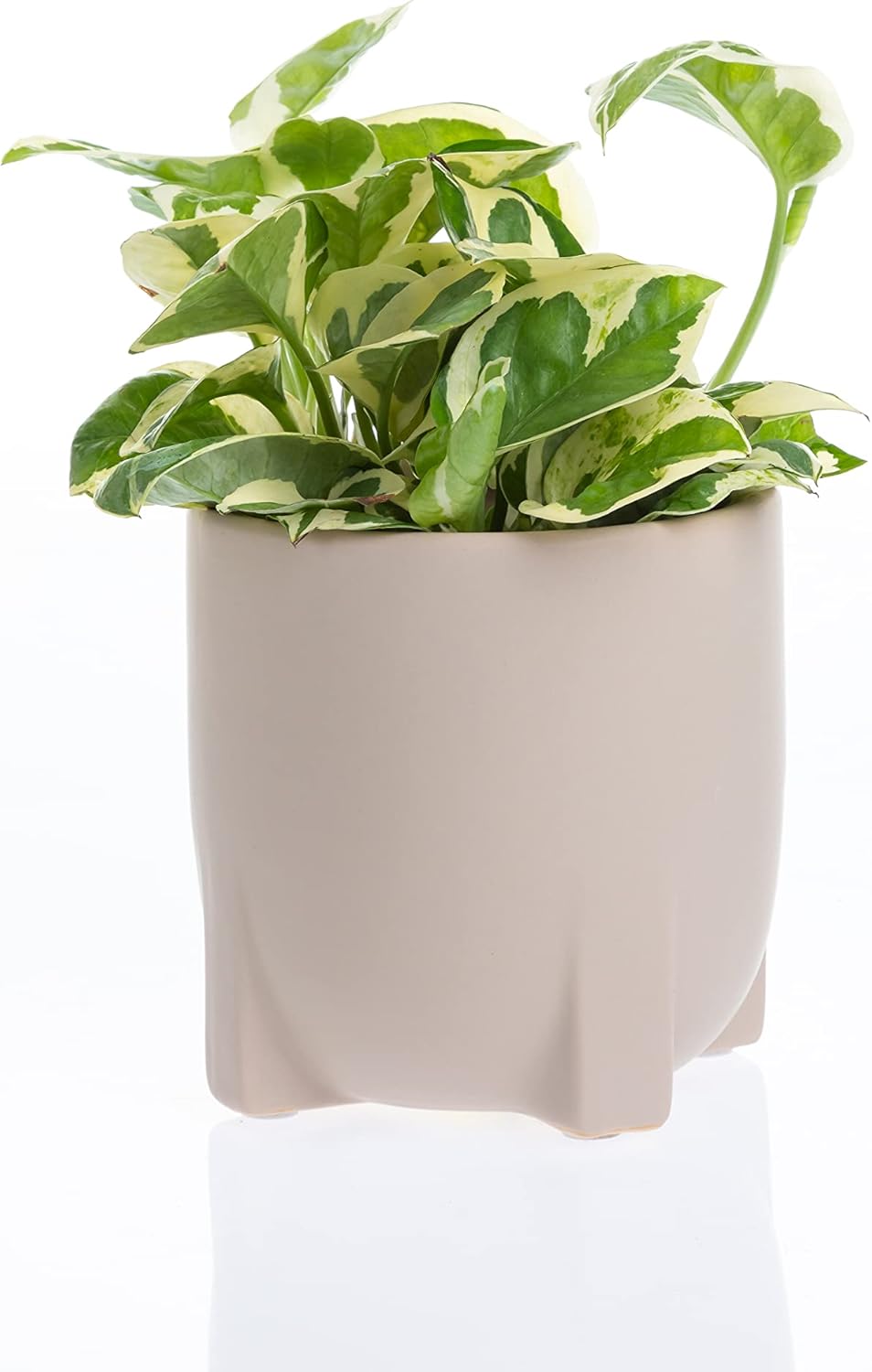 CBT Floral & Craft Dylan Ceramic Pot for Plant | Cute Ceramic Planter Decor for Home or Office l Indoor and Outdoor Planter for Any Event Decorations (5x 5, Taupe) (16-0868TP)