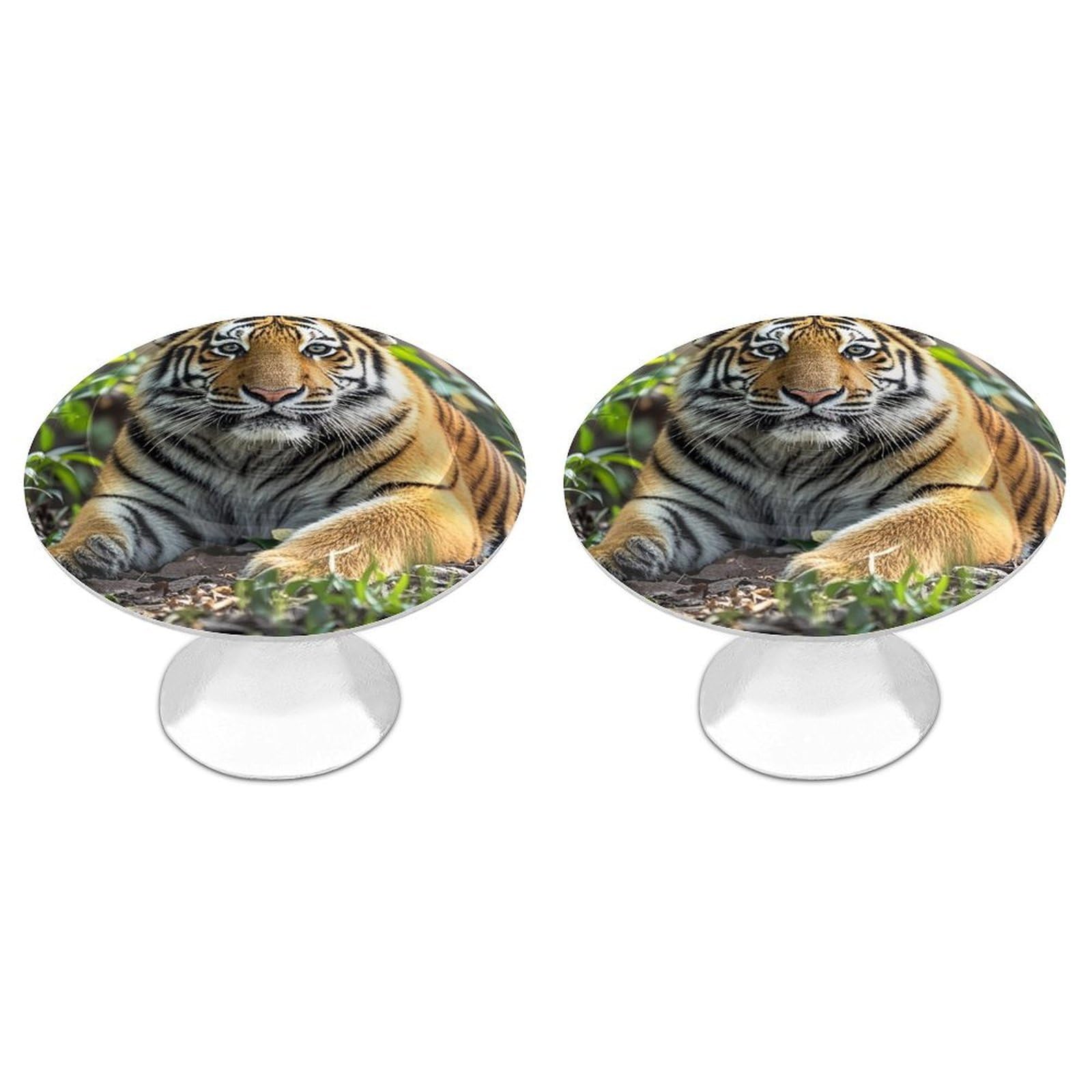 FekiLoot Big Tiger Cabinet Knob 2 Pack Mini Round Drawer Pulls Stainless Steel Dresser Drawer Knobs Kitchen Drawer Hardware for Bathroom Dresser Closet Door Knobs