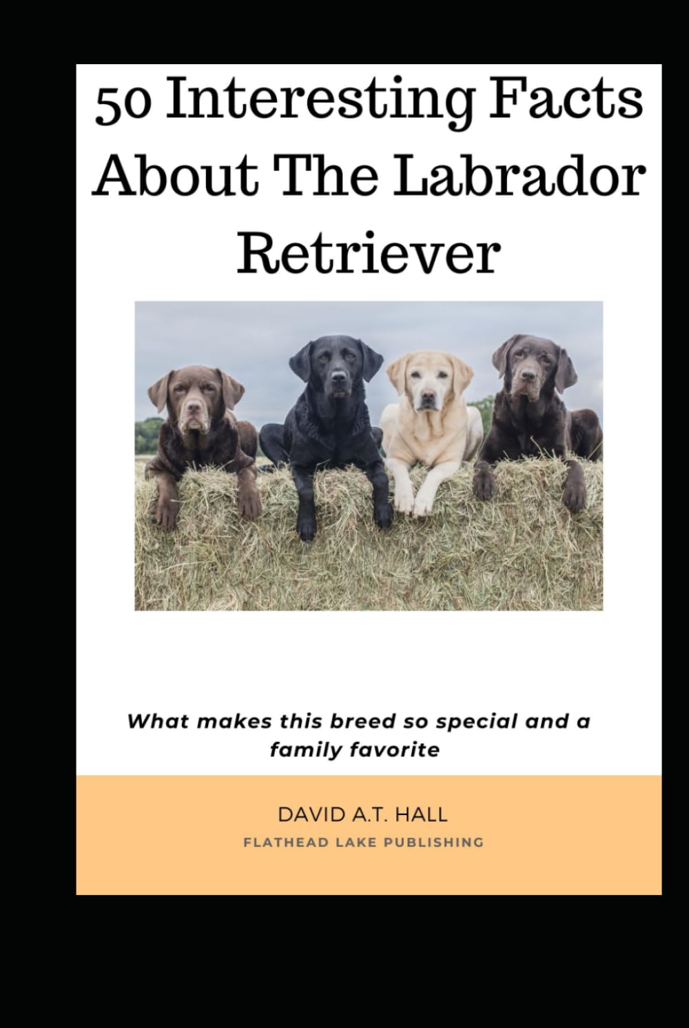 Labrador Lore 101 Interesting Facts about the Labrador Retriever: What makes this breed so special and a family favorite