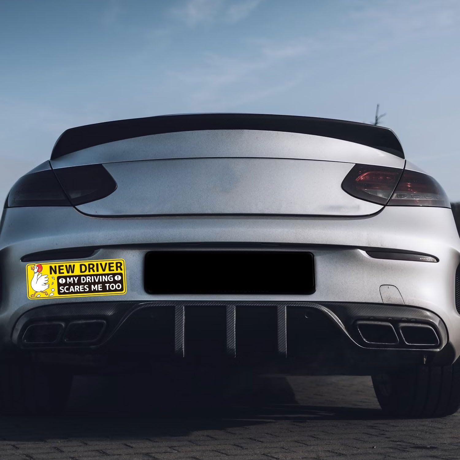 3pz Magneti per Auto Neopatentati, 25x9 cm Adesivo Riflettente Paraurti con Simpatico Cartello di Sicurezza per Studenti Alla Guida Raffigurante Un'Oca