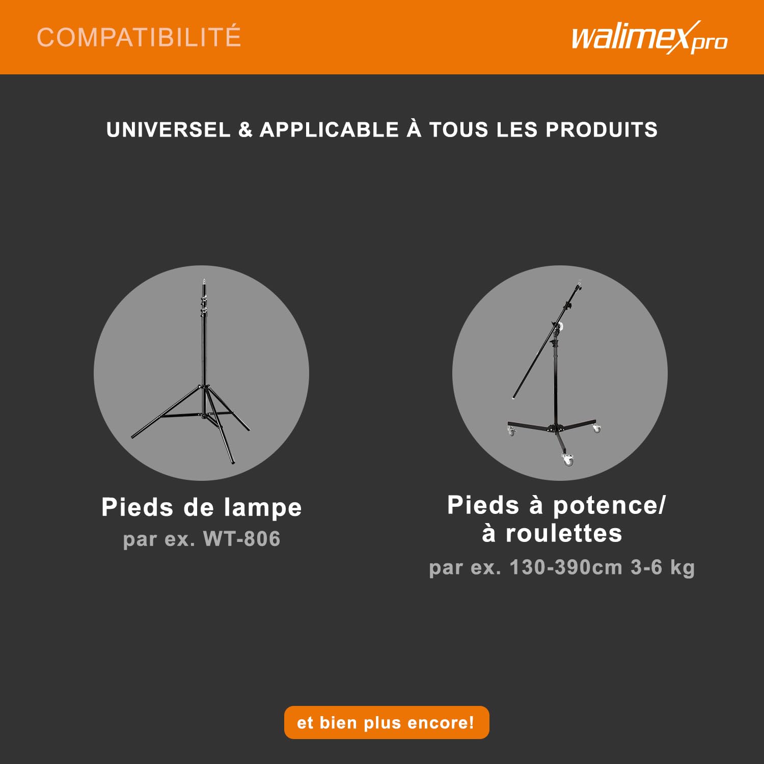Poids walimex pour perches et trépieds girafes, 4,4 kg