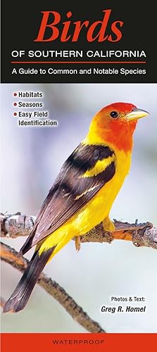 Birds of Southern California: A Guide to Common &amp; Notable Species (Quick Reference Guides)
