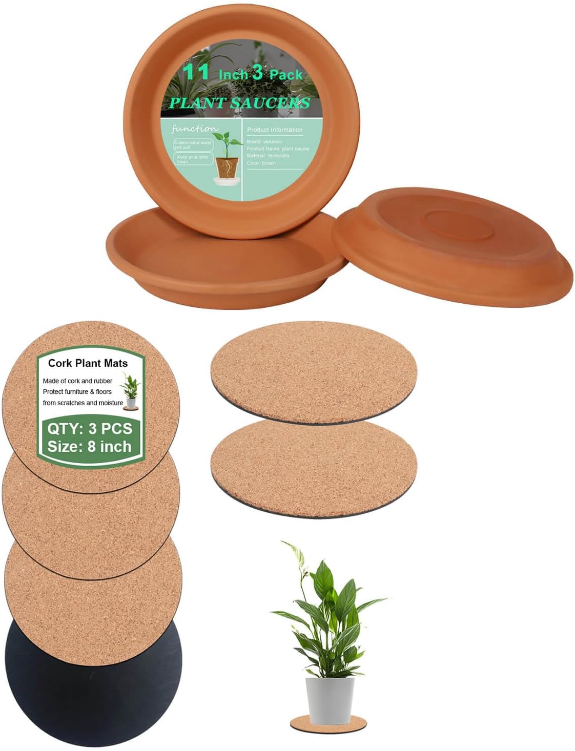 8 Inch Cork Plant Mat and 11 Inch Terracotta Pot Plant