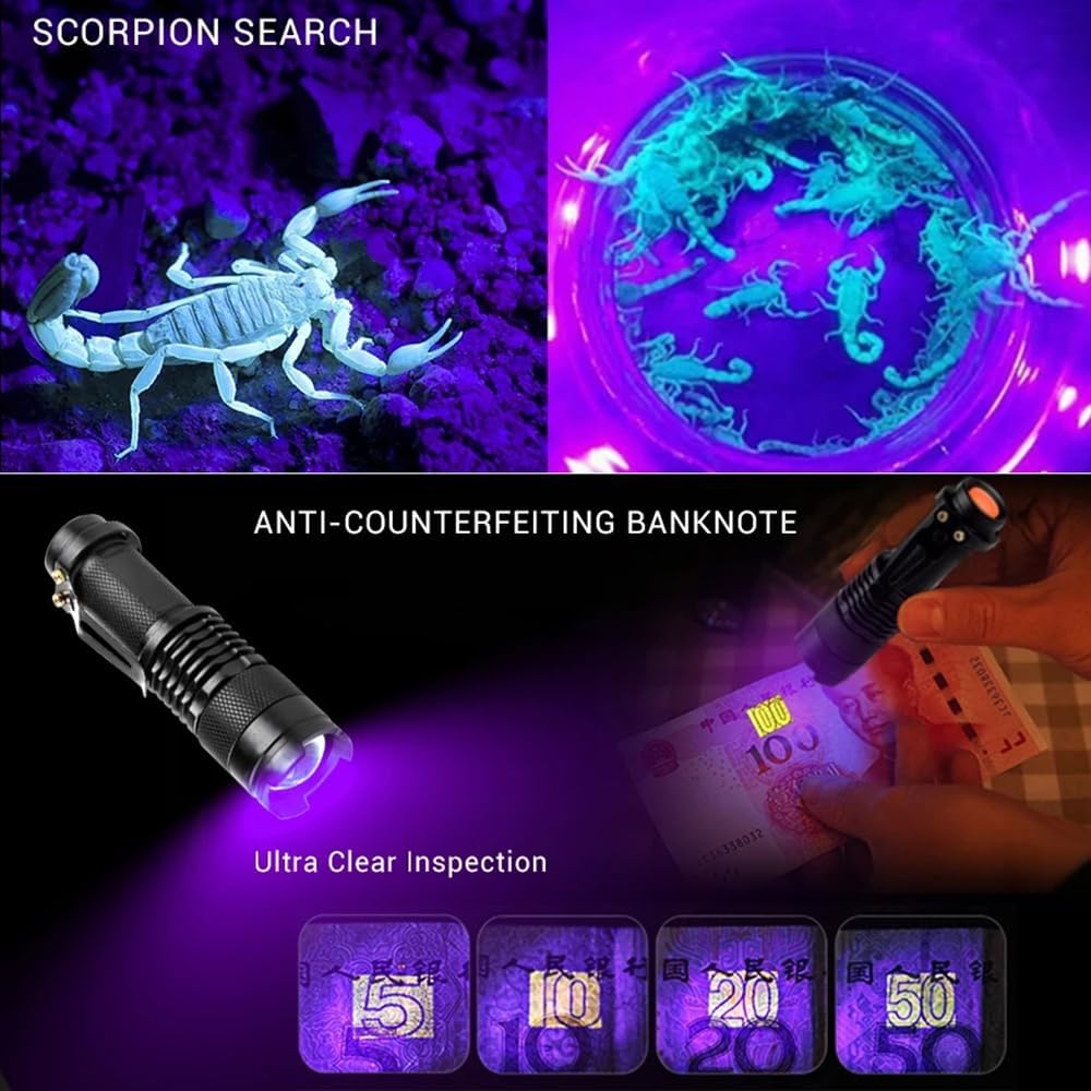 Examples of WINDFIRE SK68-UV flashlight use for scorpion search and anti-counterfeiting banknote inspection.