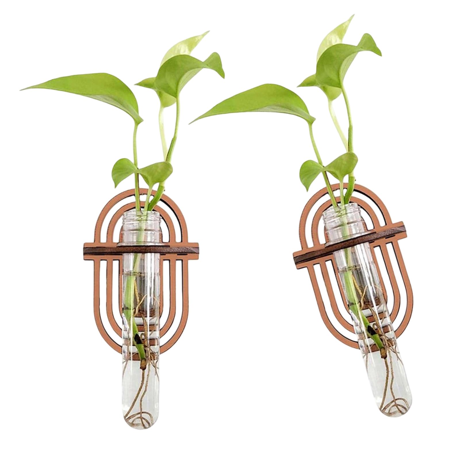 APGLSXY Plant Propagation Station with Wood Shelf Wall Hanging Tests Tube Vase Planter for Hydroponic Gardening Gift Plant Propagation Station Wall Hanging