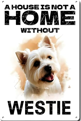 Miniatura 9 de Cartel de metal con diseño de hojalata de amante de gatos, "What Happens In The Catio Stays In The Catio", cartel divertido para casa de gatos,