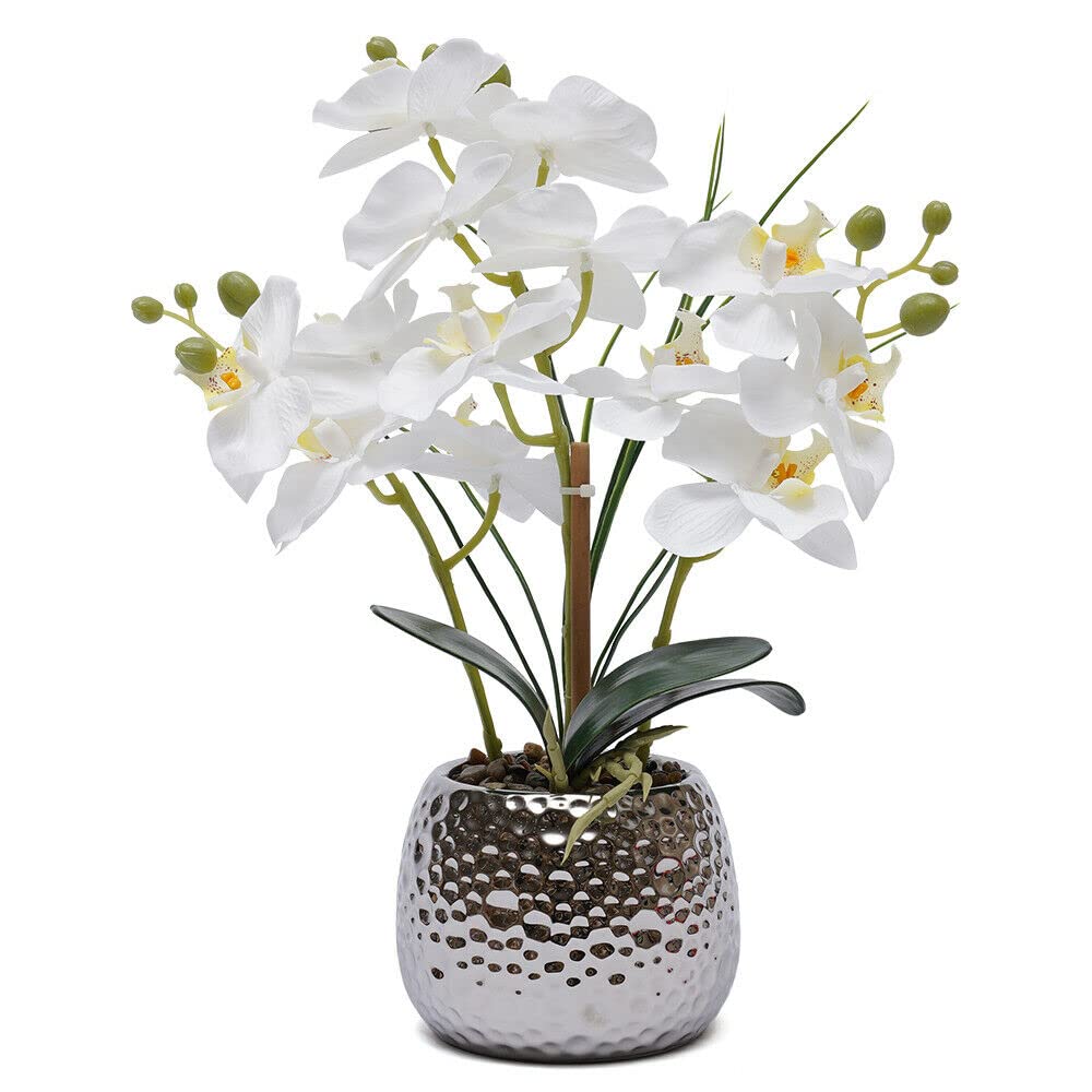Planta Artificial de orquídea Artificial de 39 cm con Maceta de cerámica para decoración de Ventanas, Fiestas, Cocina, etc