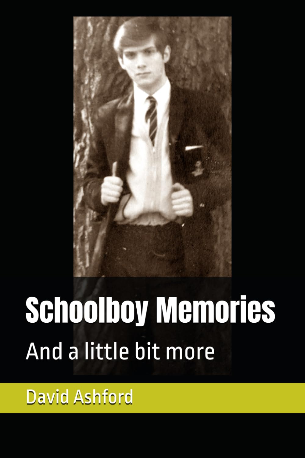 Schoolboy Memories: And a little bit more (Elderly Autobiographies)