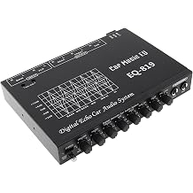4 DSP     8V RMS EQ