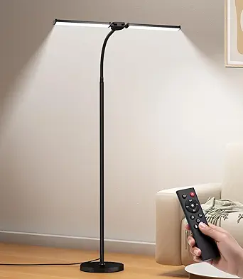 LED Floor Lamp for Living Room, Adjustable Colors & Brightness, Dual Head Goose-Neck Standing Lamp with Remote Control, Eye Caring, Black