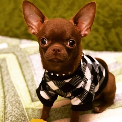Miniatura 7 de Suéter de forro polar para perros pequeños, chihuahua yorkies, ropa cálida de invierno para cachorros, lindos suéteres para perros machos, camisa