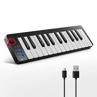 Donner Mini MIDI Keyboard N-25, 25 Key MIDI Controller Gifts for Beginners with Velocity-Sensitive Mini Keys Light-up Rocker Music Production Software, Small USB Controlador with 40 Teaching Courses