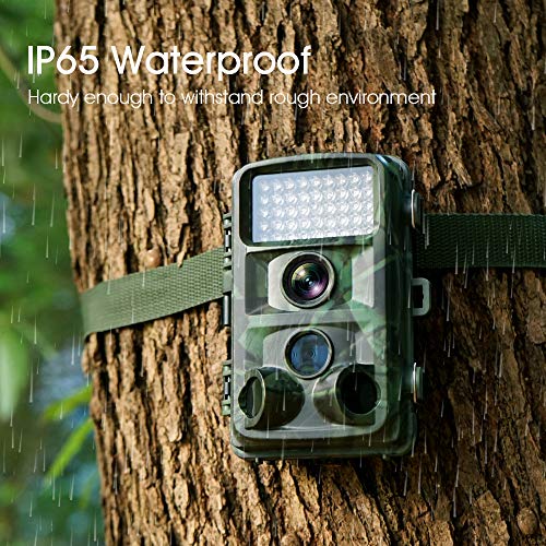 tec bean trail camera