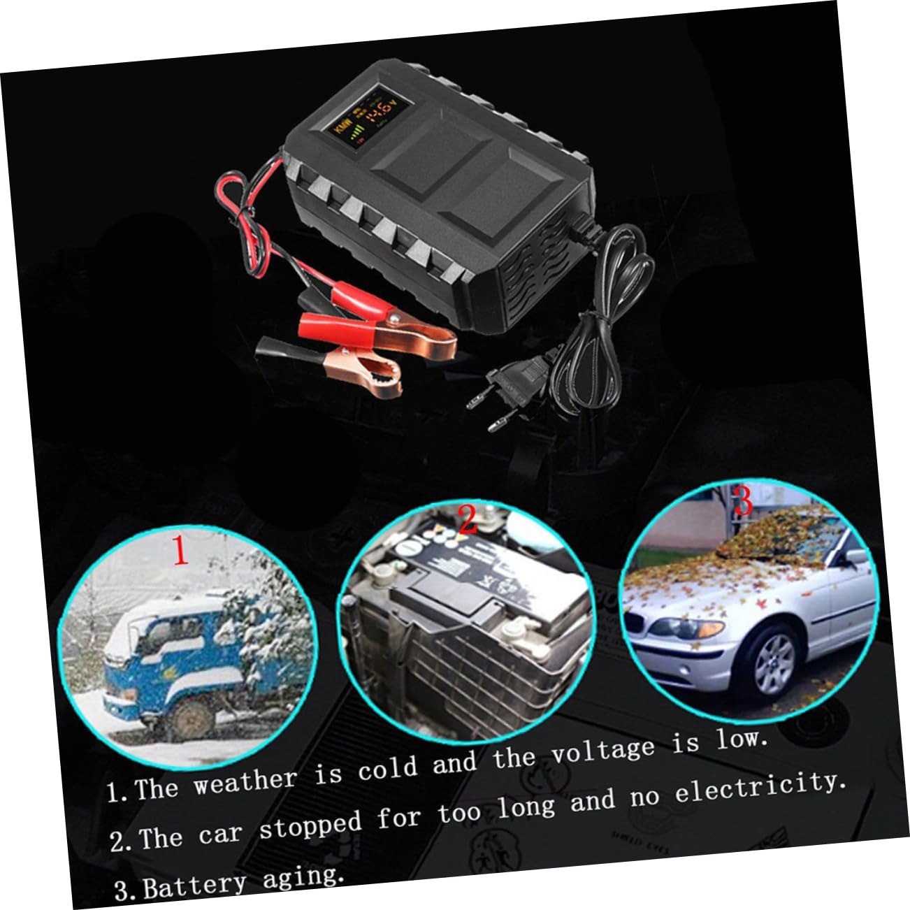 Caricabatterie per Batterie al Piombo 12v 20a Nero