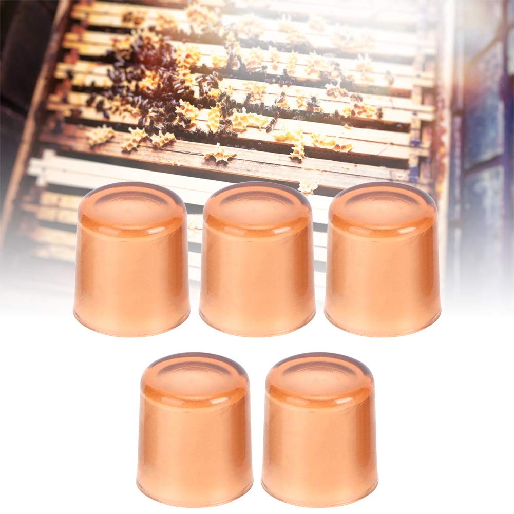 Outil Nettoyage Cellules Reine / Gelée Royale | Apiculture, Accessoire Apiculteur - Métal, 13.5cm - 10