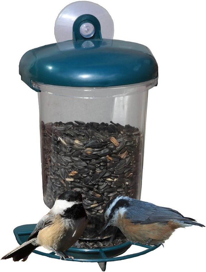 Window Bird Feeder - Suction Cup Attaches Feeder to Outside of Window - Best Feeder for Small Wild Backyard Birds - Feeding Station Mounted to Window so Watching Birds is Fun - Unique Clear Feeder