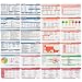 Scrubnotes - Medical Reference ID Badge Cards - 13 Card Set - Reference sheets for Doctors and Nurses