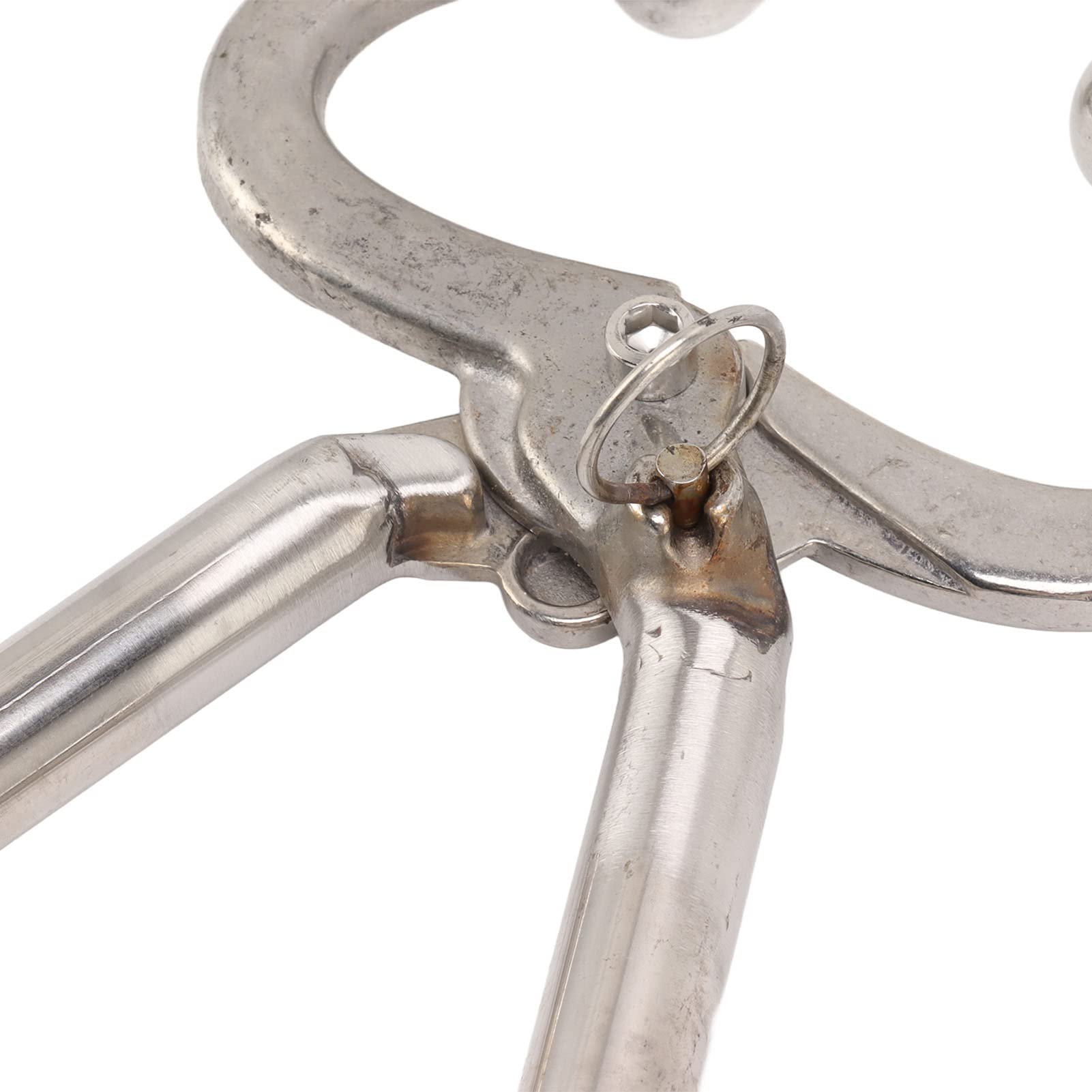 Qcwwy Pinza per Naso per Bovini, 16 Pollici Morsetto per Naso per Bovini Testa a Sfera Morsetto per Trazione per Bovini Strumento per Tirare Il Naso di con Design di Bloccaggio
