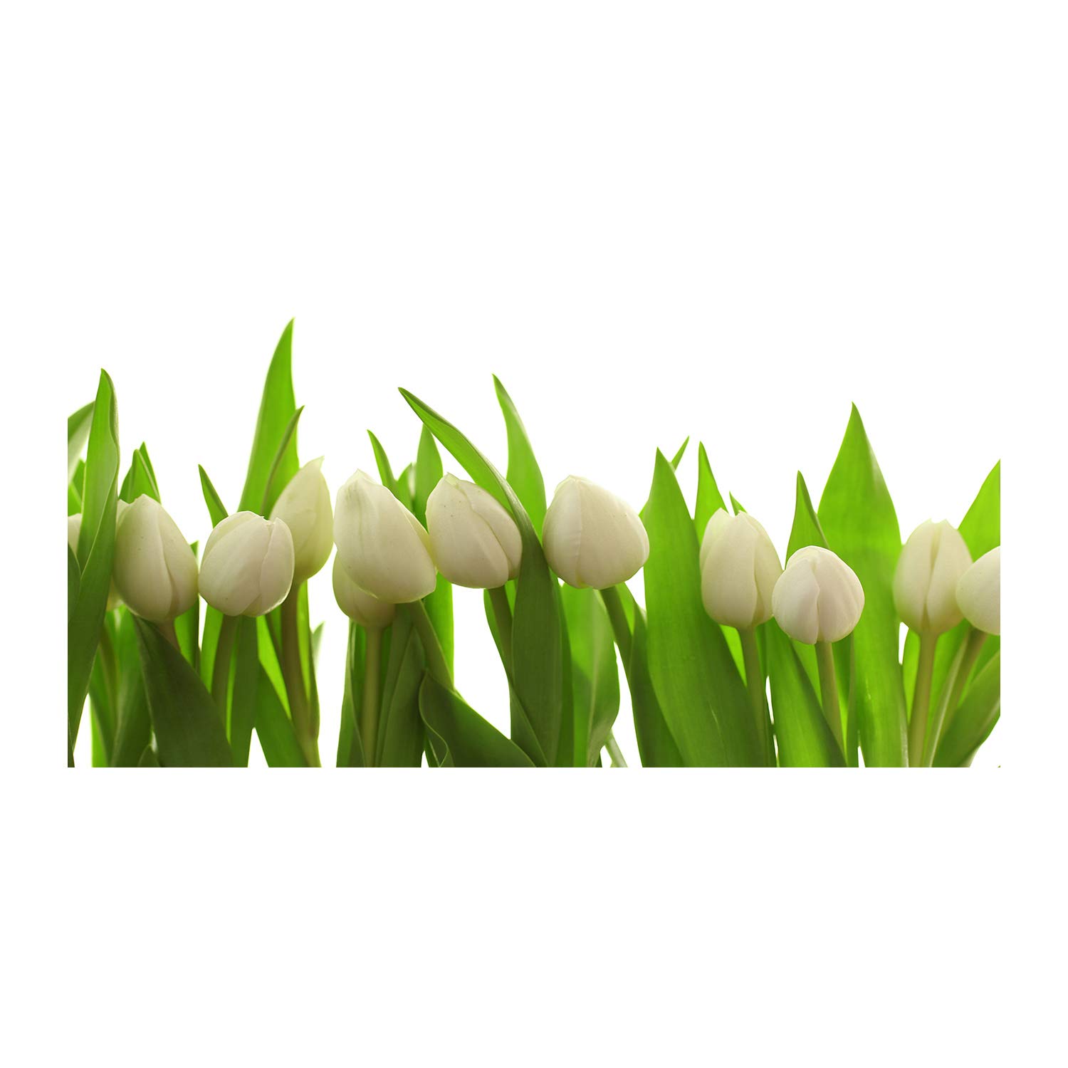 Déco murale acrylique Tulup de 120x60cm pour illuminer votre salon avec des tulipes blanches