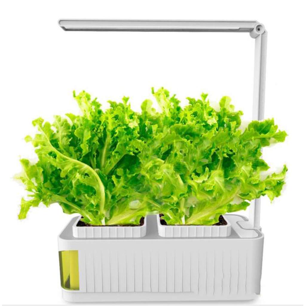 TEmkin Ampoules de Croissance à LED, Lampe de Lecture de Protection des Yeux, Lampe de Culture à Spectre Complet pour Plantes, Culture Hors-Sol LED à Spectre Complet pour Plantes d'intérieur